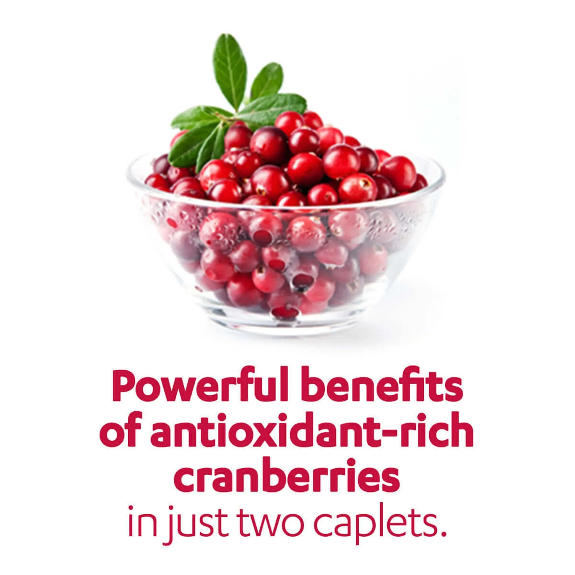 AZO Cranberry® Urinary Tract Health Supplement