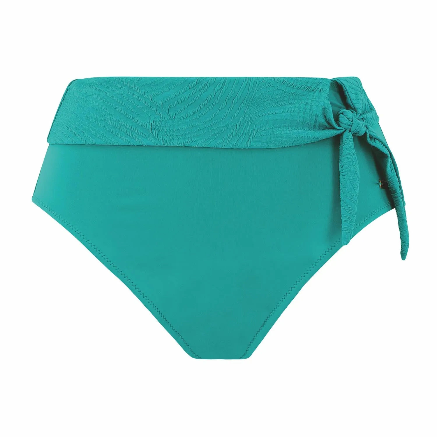 Ottawa High Waist Bikini Brief