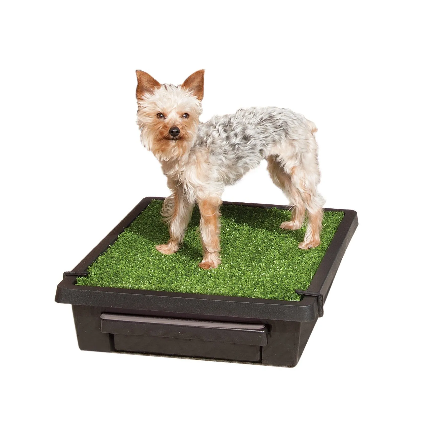 PetSafe The Pet Loo Small Portable Toilet for Dogs