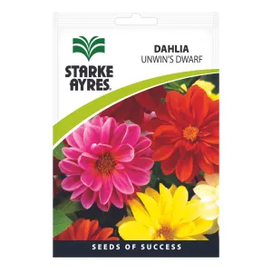 Seeds - Dahlia Unwin's Dwarf