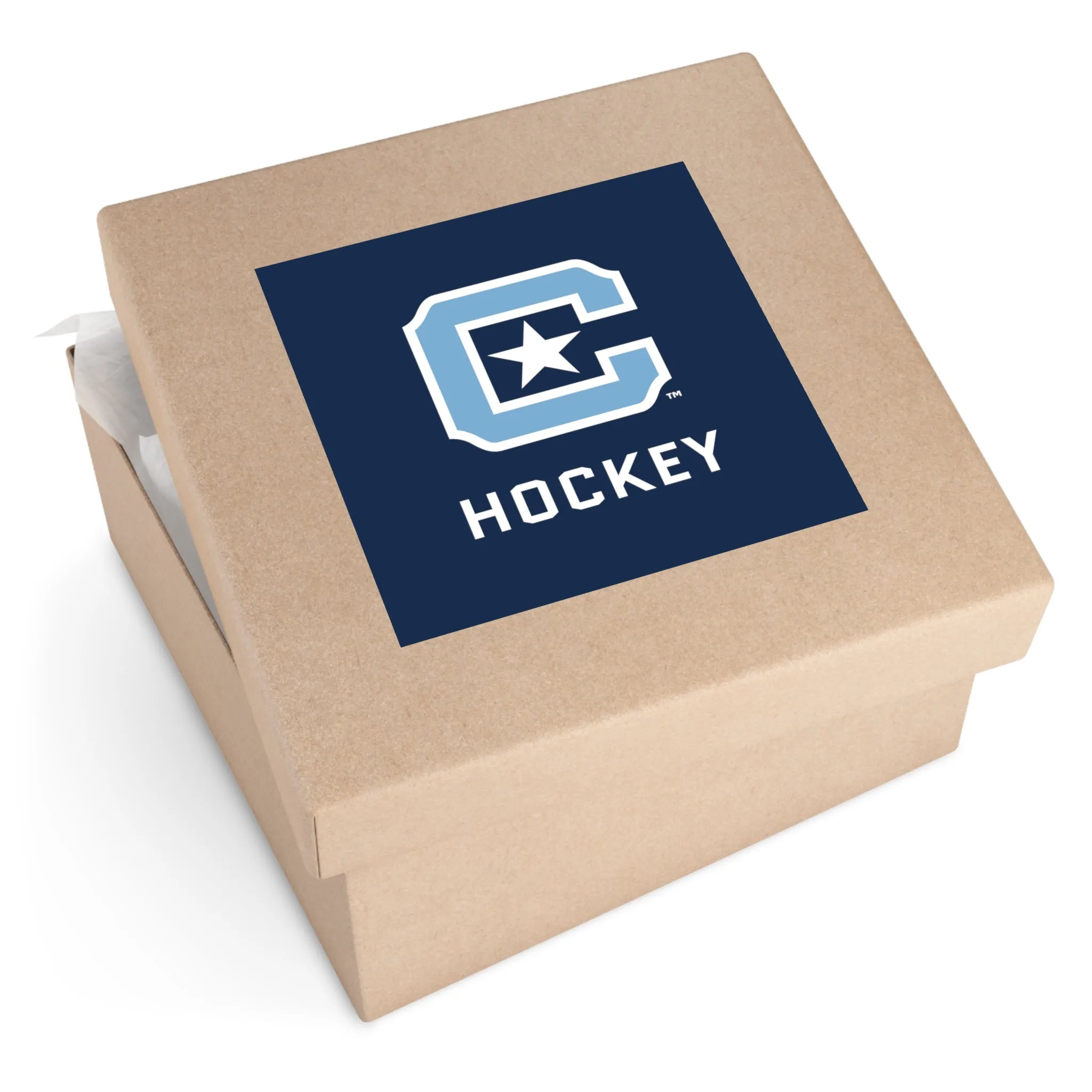 The Citadel, Sports Club, Hockey Square Stickers, Indoor\Outdoor